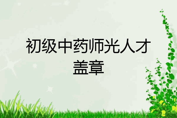 初级中药师光人才盖章