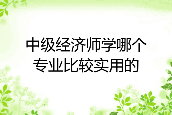 中级经济师学哪个专业比较实用的