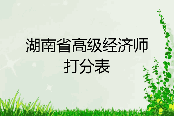 湖南省高级经济师打分表