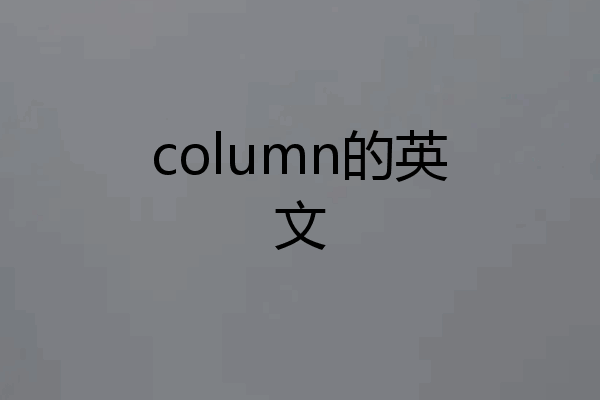 column的英文