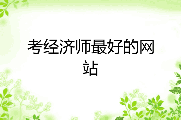 考经济师最好的网站