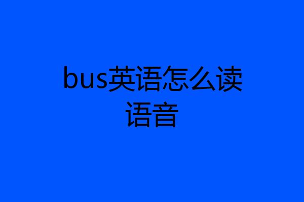 bus英语怎么读语音