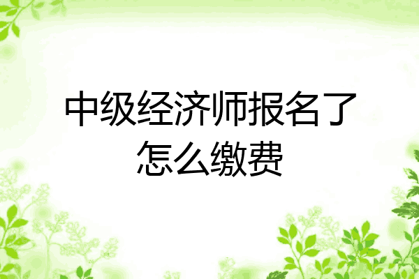 中级经济师报名了怎么缴费