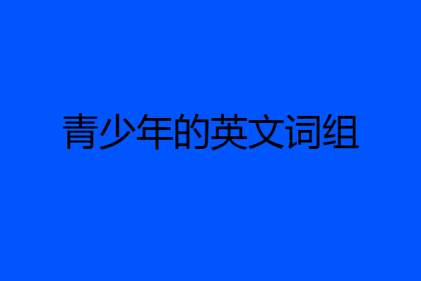 青少年的英文词组