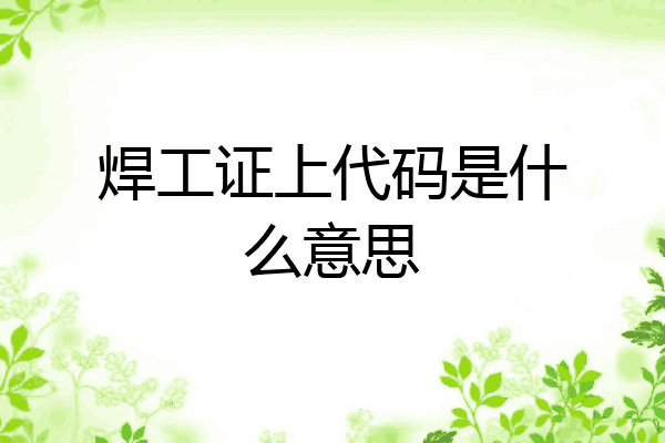 焊工证上代码是什么意思