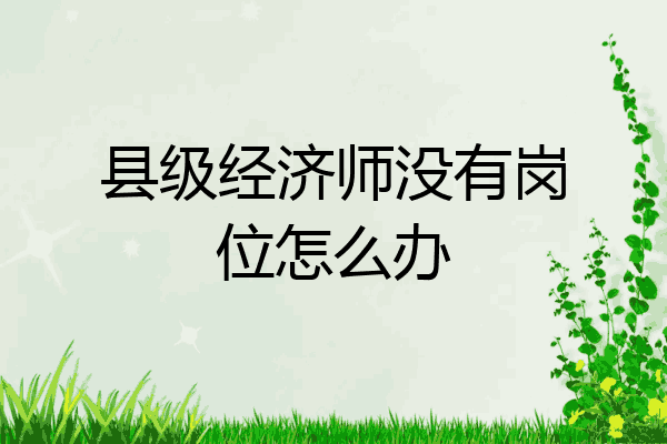 县级经济师没有岗位怎么办