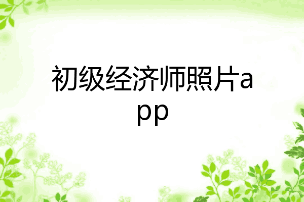 初级经济师照片app