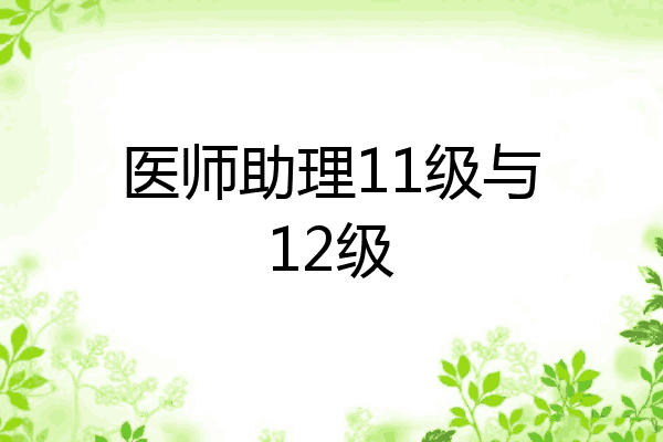 医师助理11级与12级