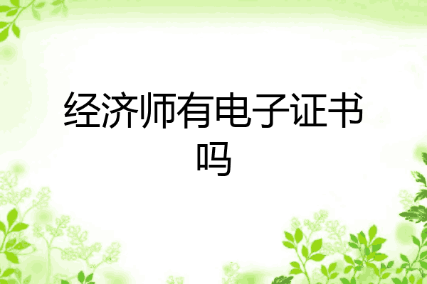 经济师有电子证书吗