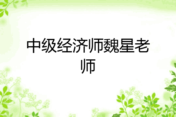 中级经济师魏星老师