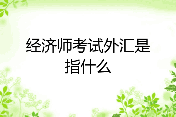 经济师考试外汇是指什么