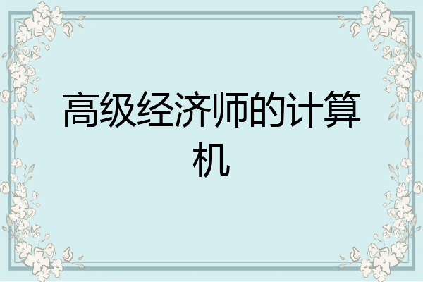 高级经济师的计算机
