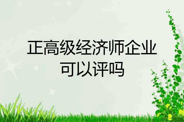 正高级经济师企业可以评吗