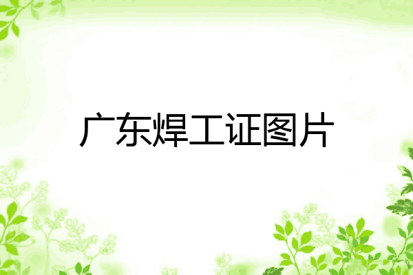 广东焊工证图片