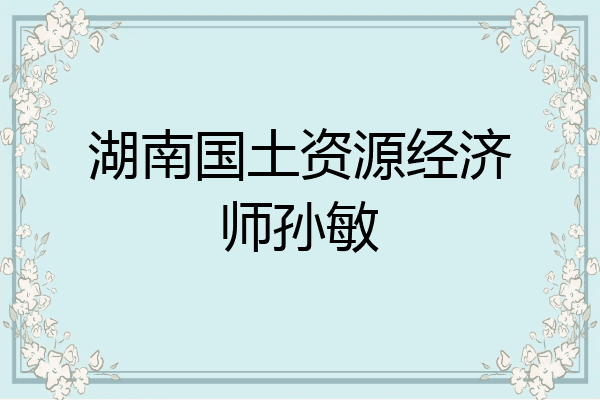 湖南国土资源经济师孙敏