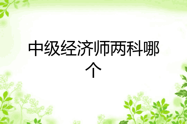 中级经济师两科哪个