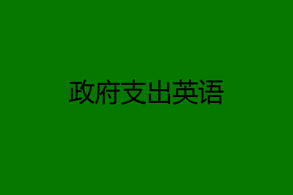 政府支出英语