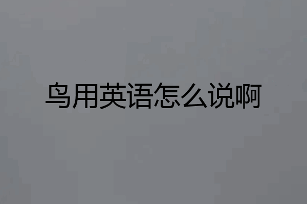 鸟用英语怎么说啊