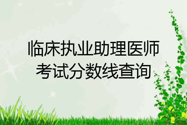 临床执业助理医师考试分数线查询