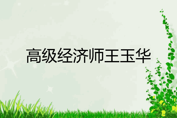 高级经济师王玉华