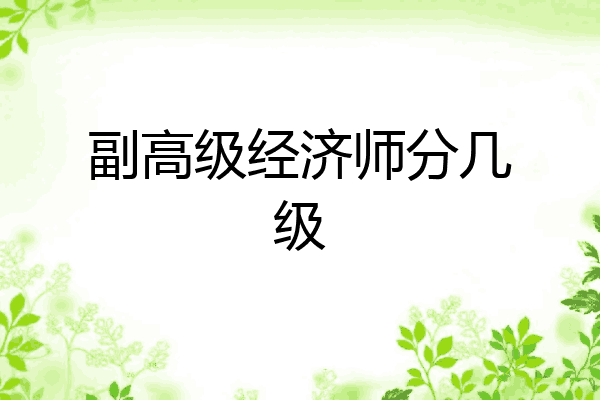 副高级经济师分几级