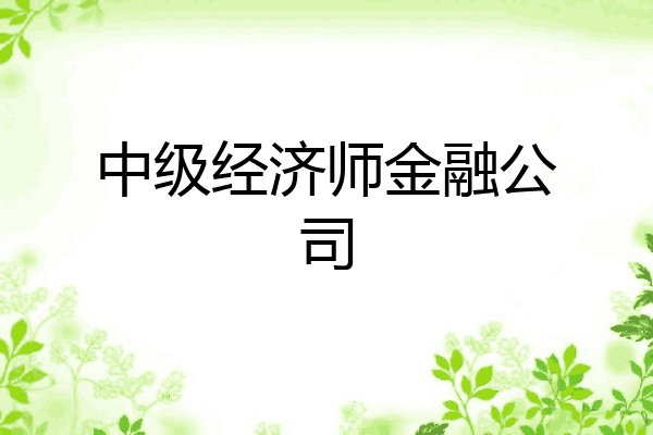 中级经济师金融公司