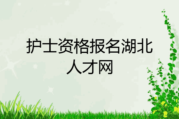 护士资格报名湖北人才网