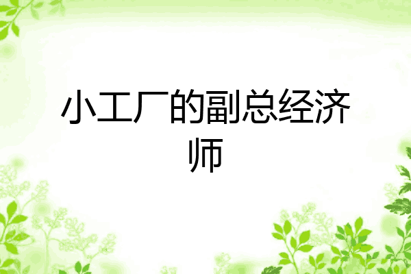 小工厂的副总经济师
