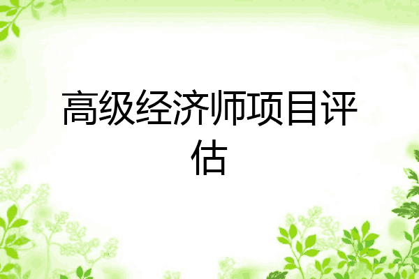 高级经济师项目评估