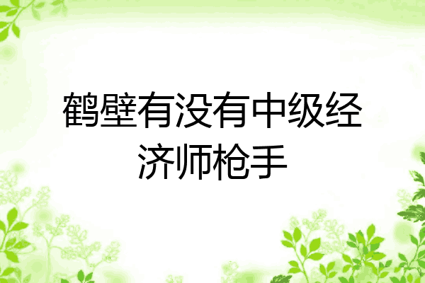 鹤壁有没有中级经济师枪手
