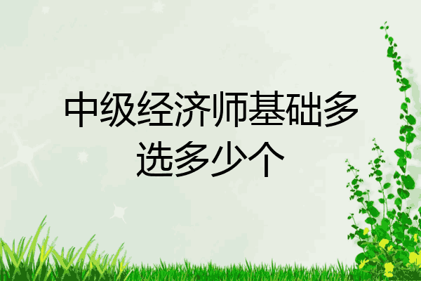 中级经济师基础多选多少个