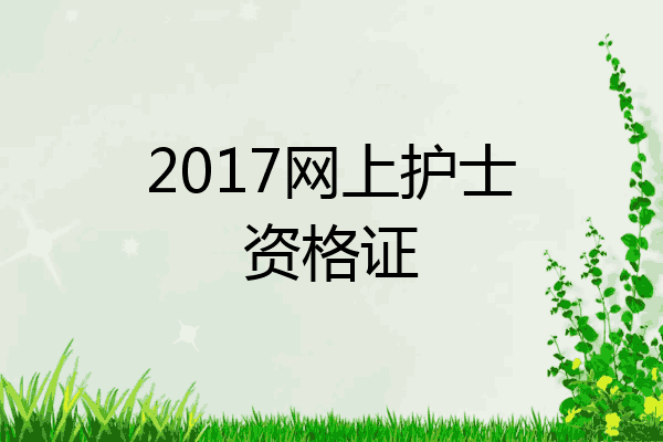 2017网上护士资格证