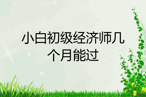 小白初级经济师几个月能过