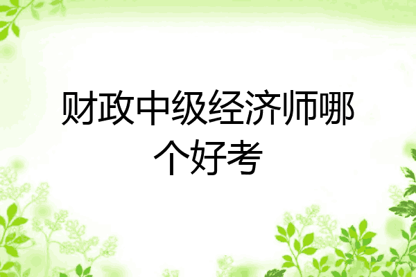 财政中级经济师哪个好考