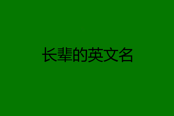 长辈的英文名
