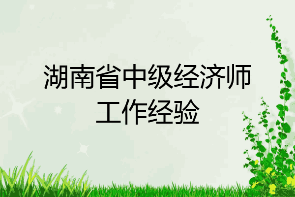 湖南省中级经济师工作经验