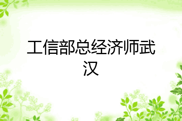 工信部总经济师武汉