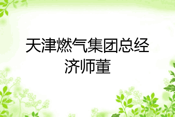 天津燃气集团总经济师董