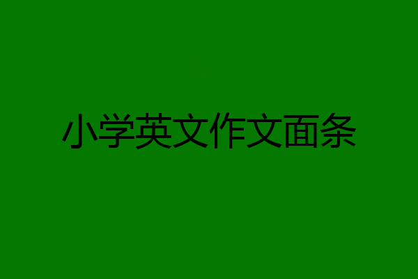 小学英文作文面条