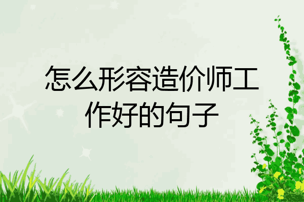 怎么形容造价师工作好的句子