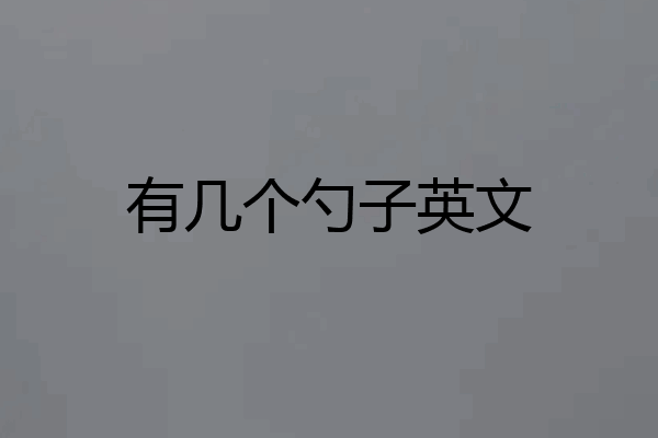 有几个勺子英文