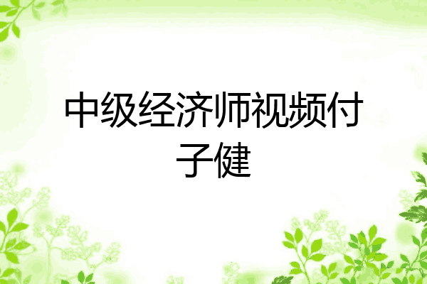中级经济师视频付子健