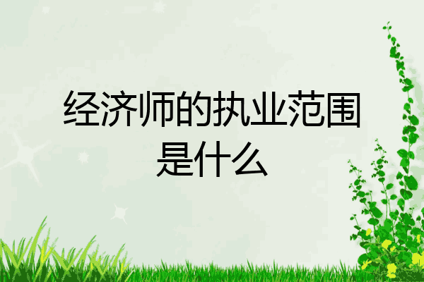 经济师的执业范围是什么