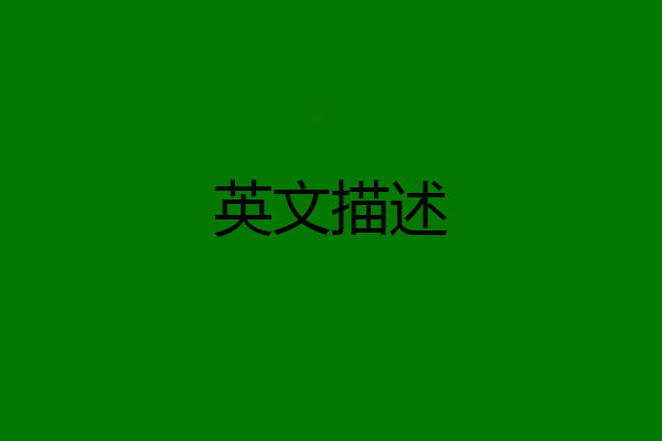 英文描述