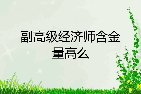 副高级经济师含金量高么