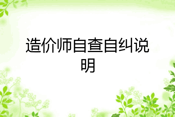 造价师自查自纠说明