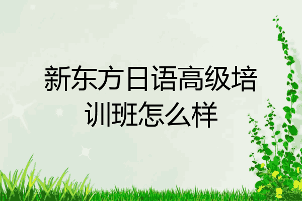 新东方日语高级培训班怎么样