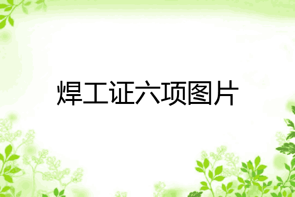焊工证六项图片