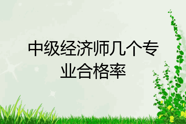 中级经济师几个专业合格率