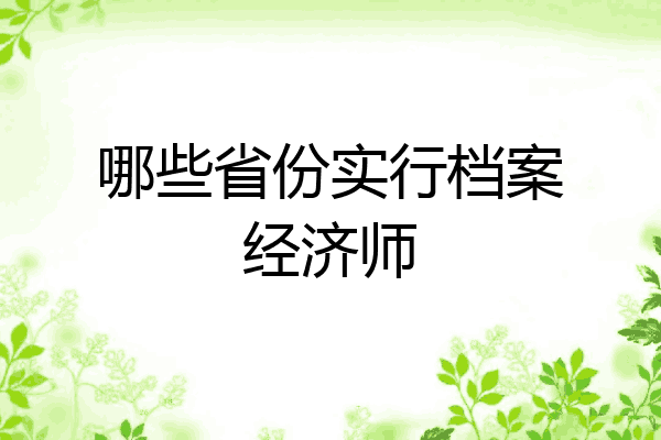 哪些省份实行档案经济师